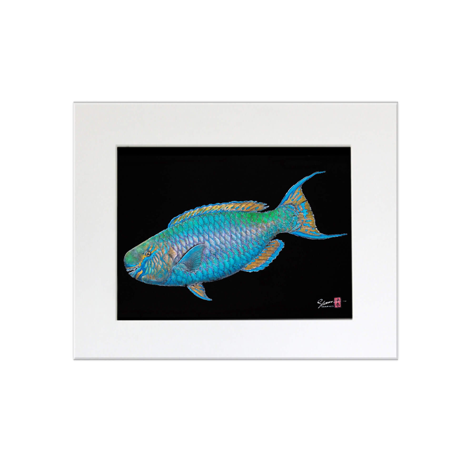 Matted print of Uhu (also known as Parrot Fish) by Hawaii gyotaku artist Shane Hamamoto