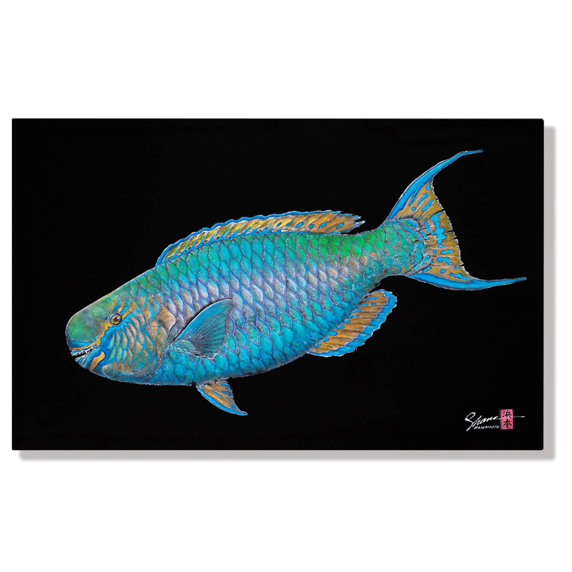 Metal print of Uhu ( also known as Parrotfish) by Hawaii gyotaku artist Shane Hamamoto