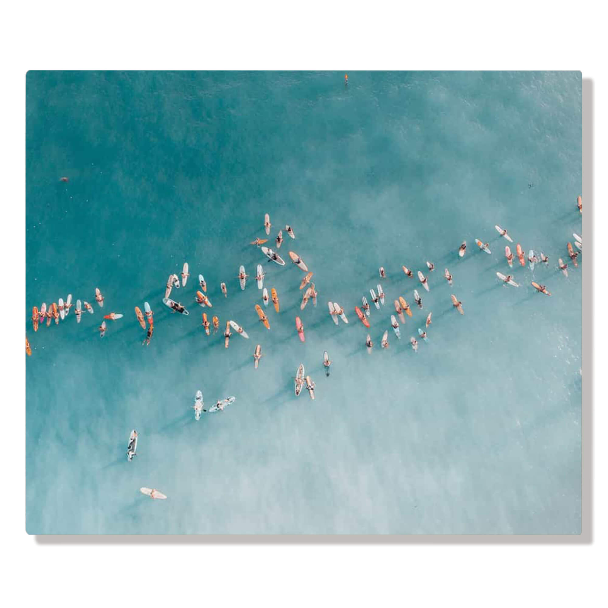 A metal art print of a large group of surfers paddling out to catch waves by Hawaii artist Bree Poort