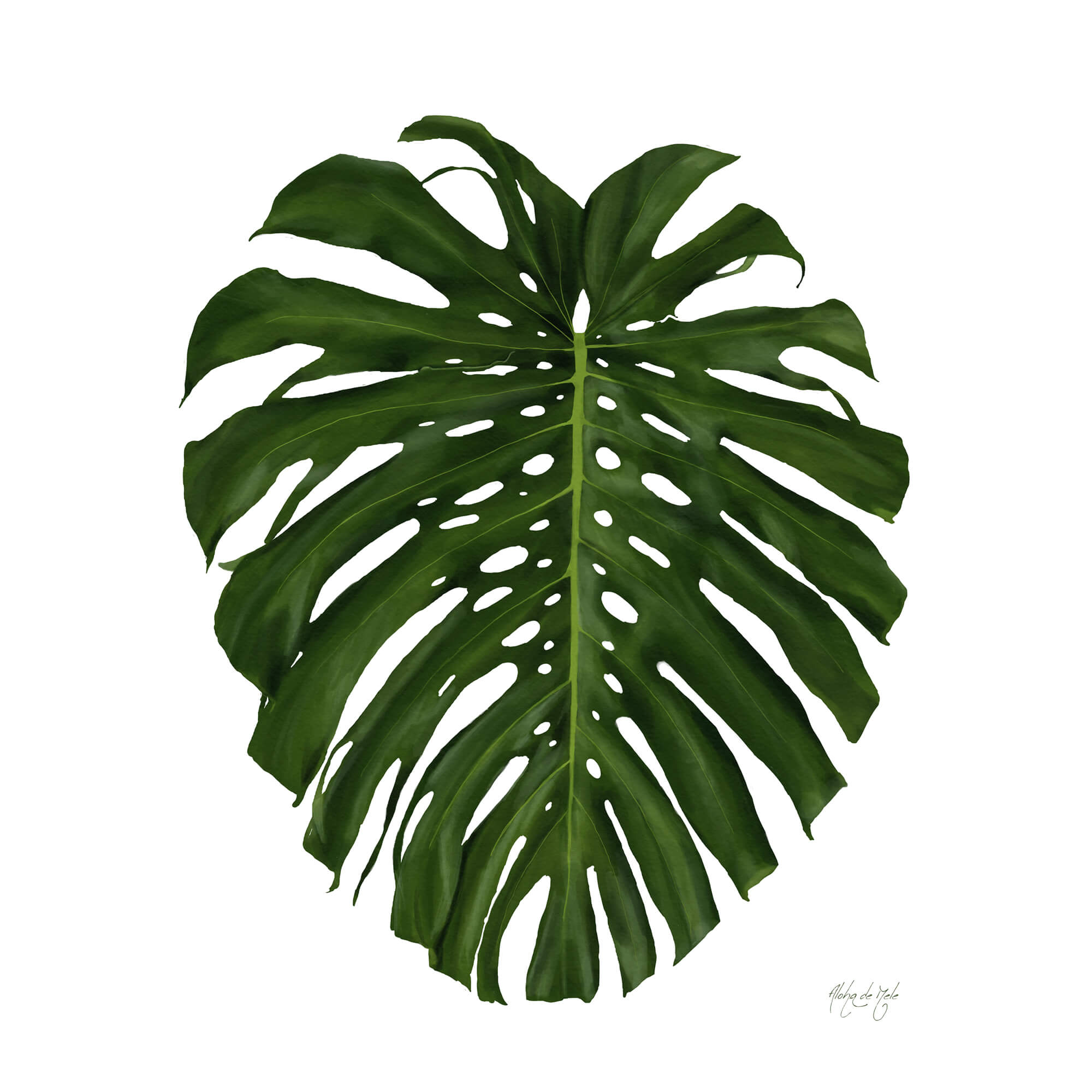 A matted art print of a beautifully painted monstera leaf by Hawaii artist Aloha De Mele