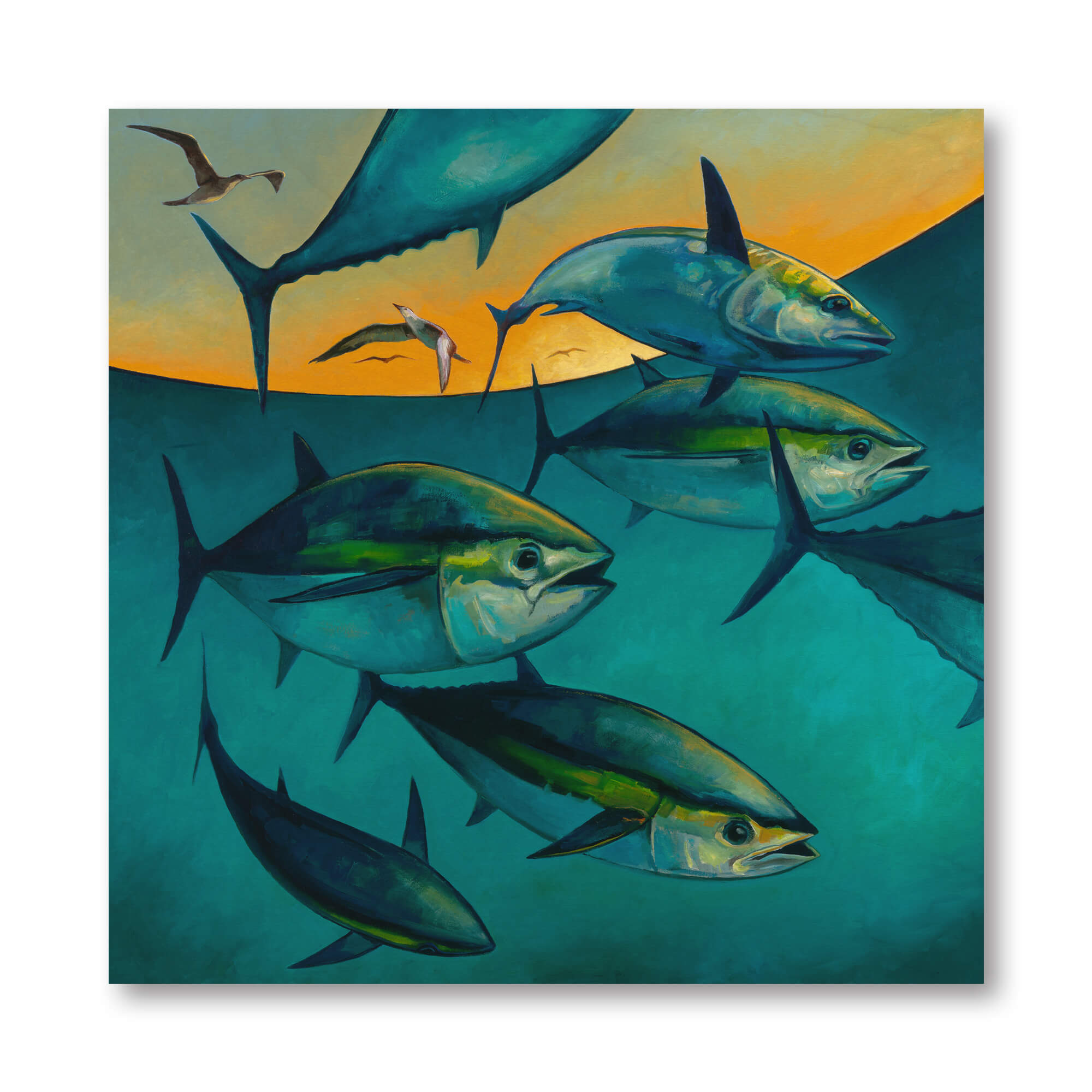 A school of tuna fish by Hawaii artist Colin Redican
