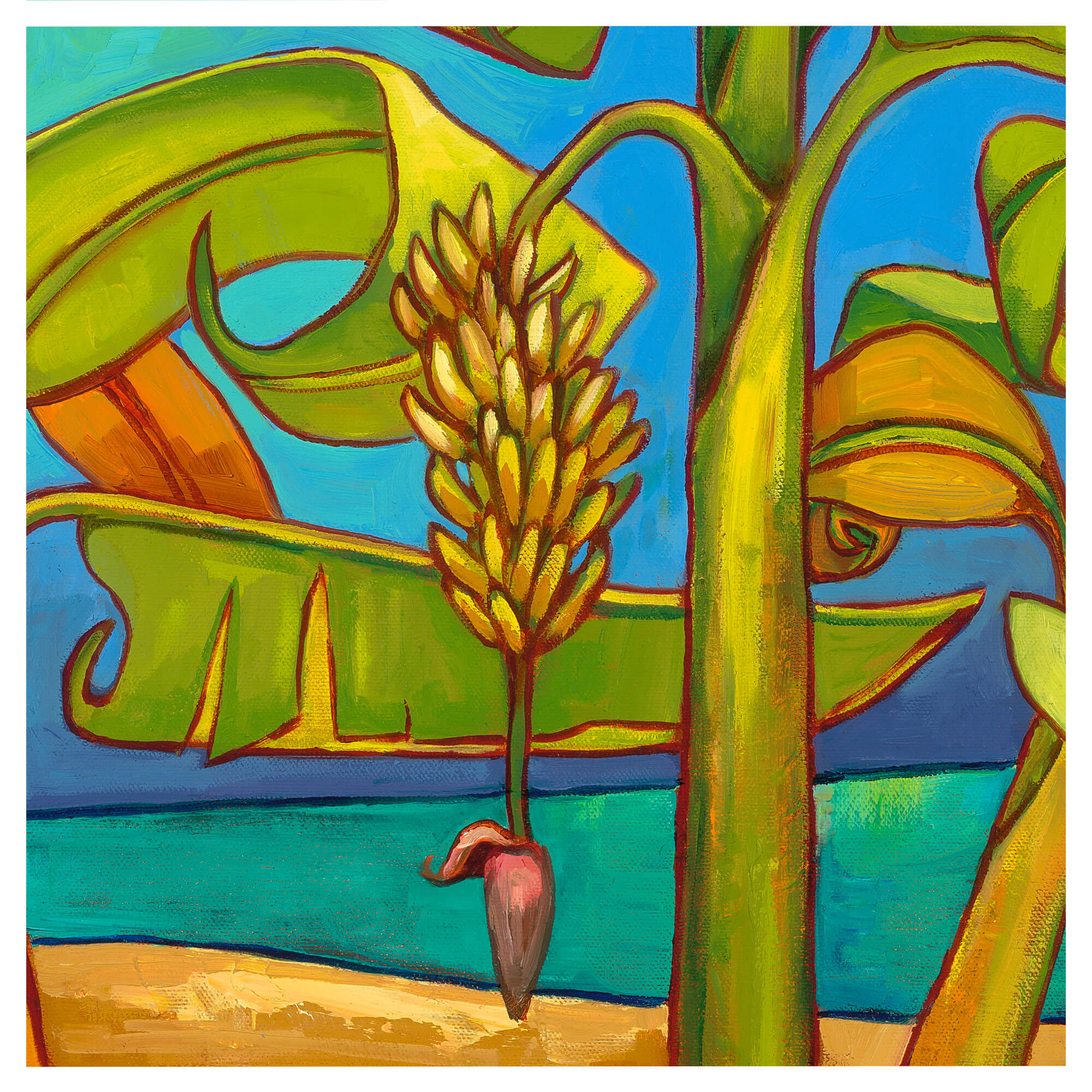 Fruit of a banana tree by Hawaii artist Colin Redican