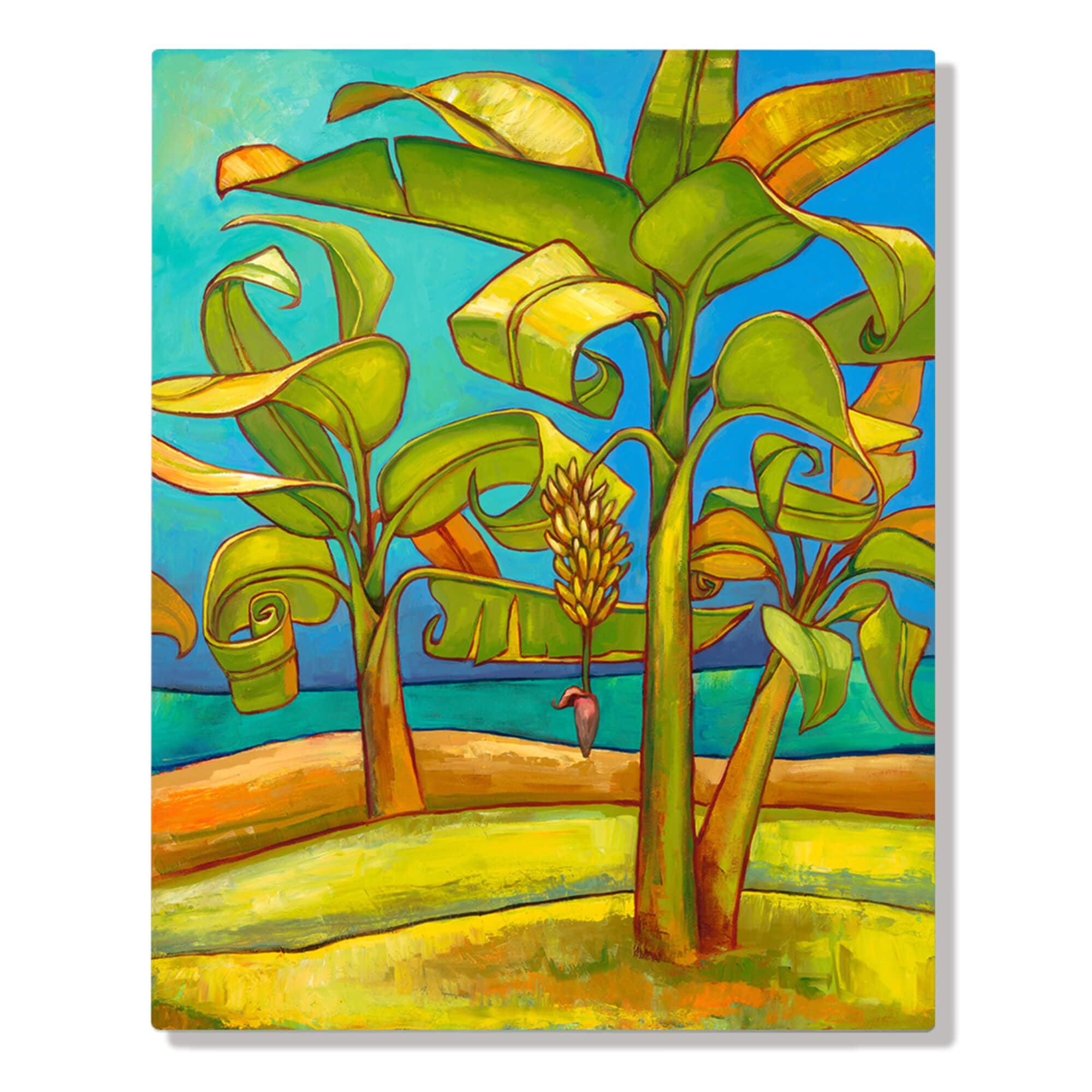 Banana tree with fruit at the beach by Hawaii artist Colin Redican