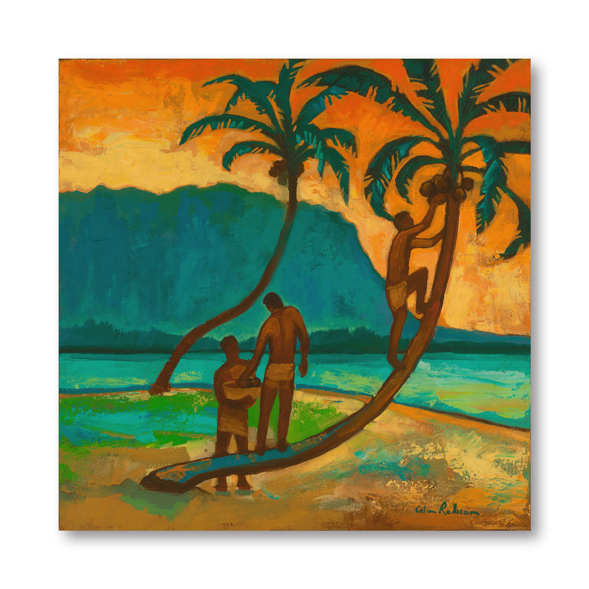 Three men gathering coconuts by Hawaii artist Colin Redican