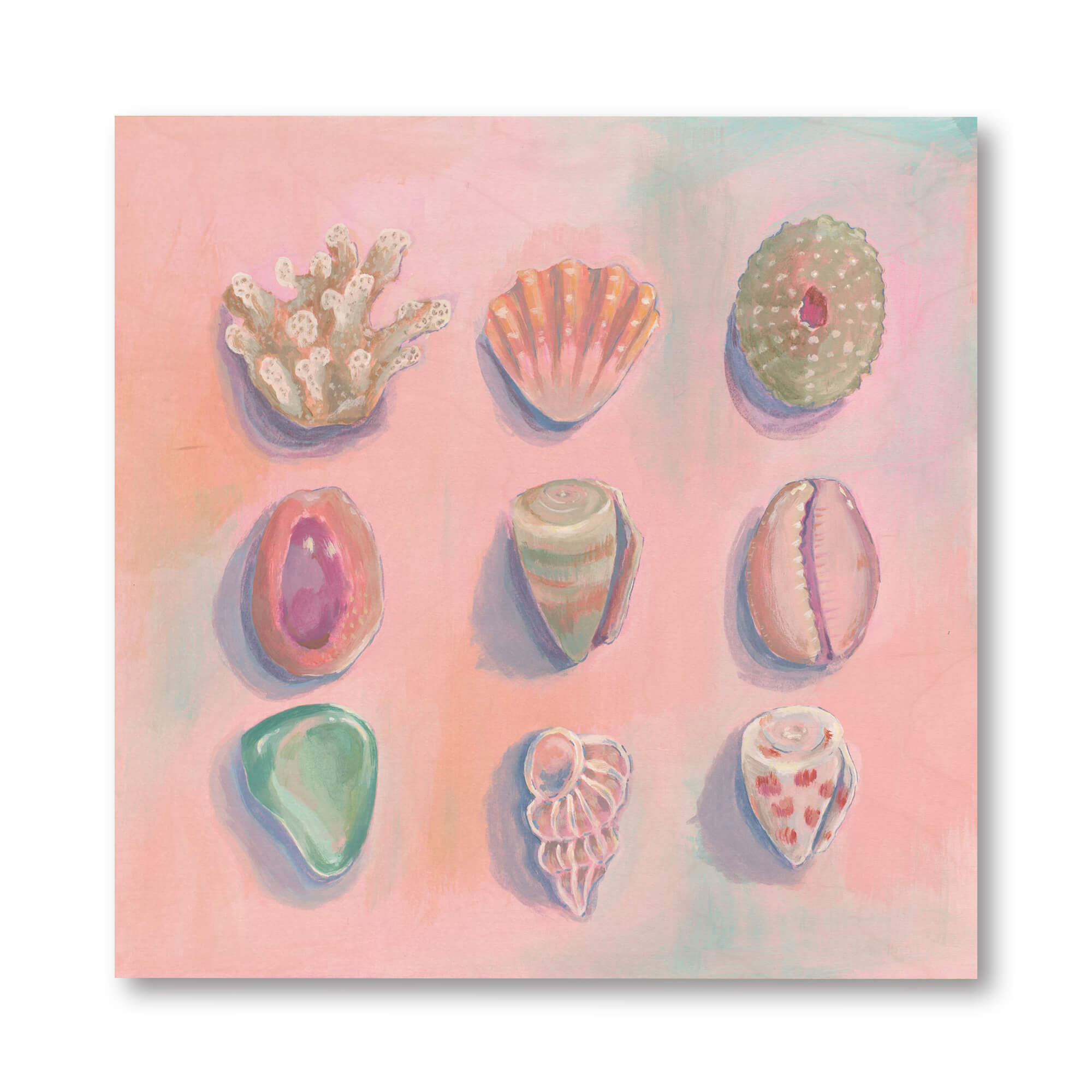 Light pink hued seashells by Hawaii artist Lindsay Wilkins