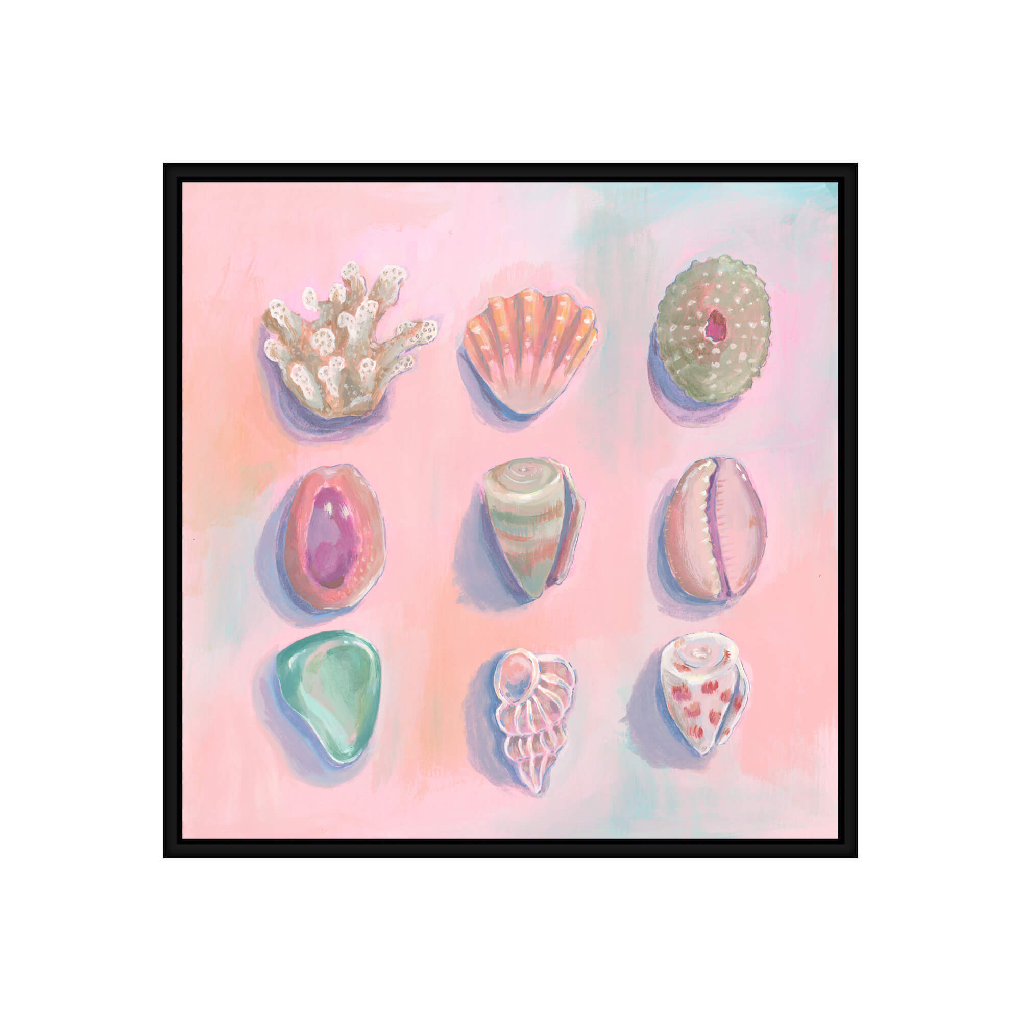 Seashells with different colors by Hawaii artist Lindsay Wilkins