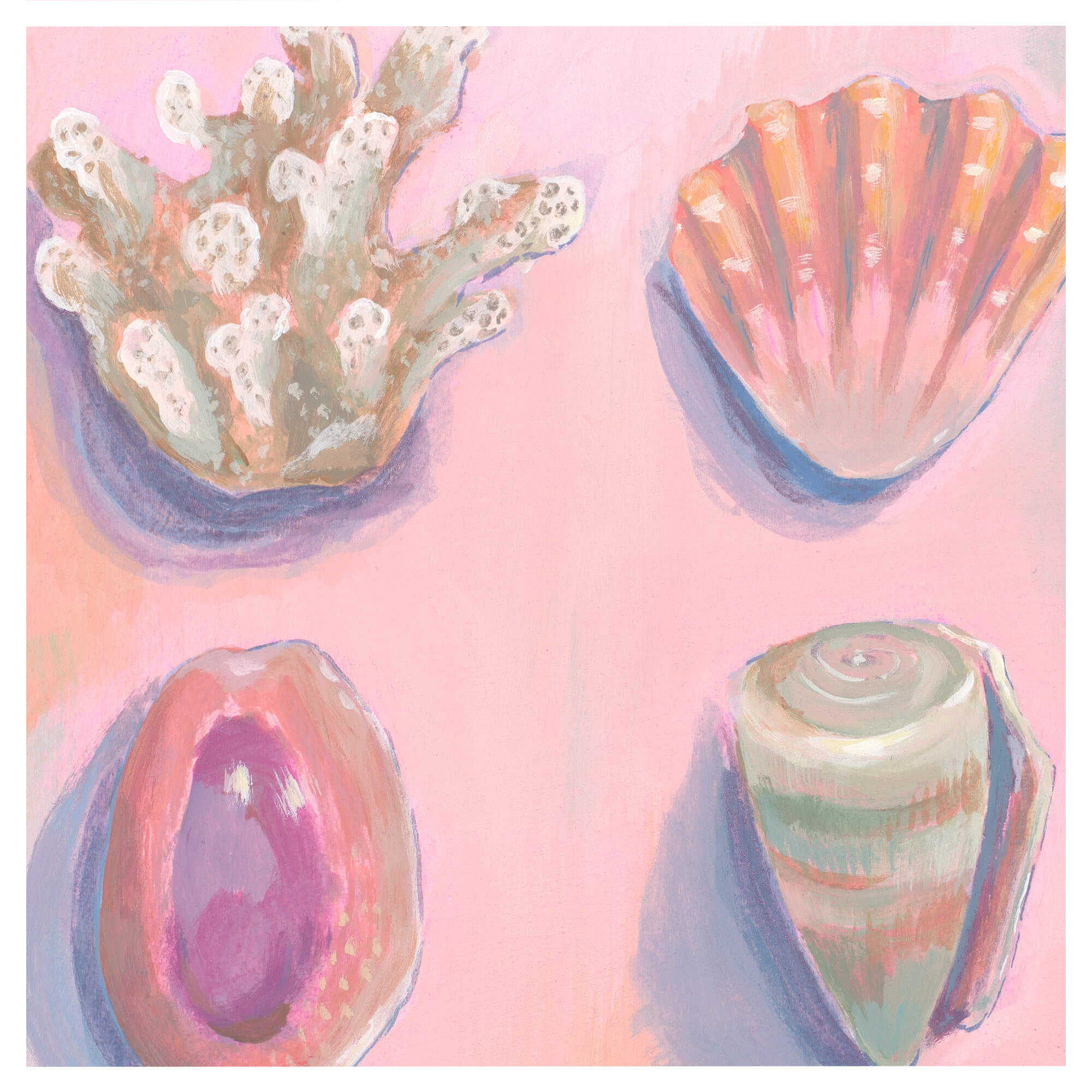Different kinds of seashells on a pink-hued background by Hawaii artist Lindsay Wilkins