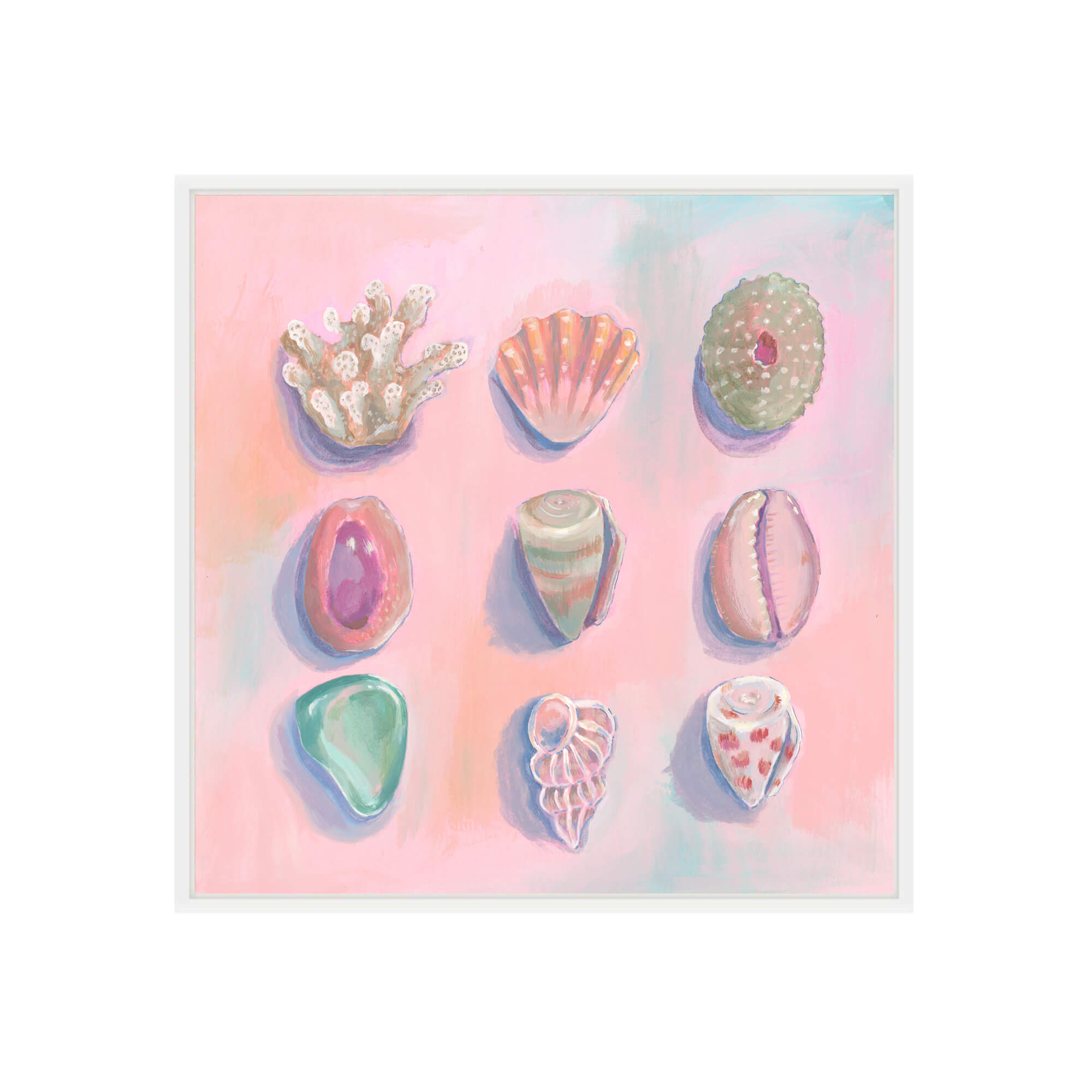 Different kinds of seashells by Hawaii artist Lindsay Wilkins