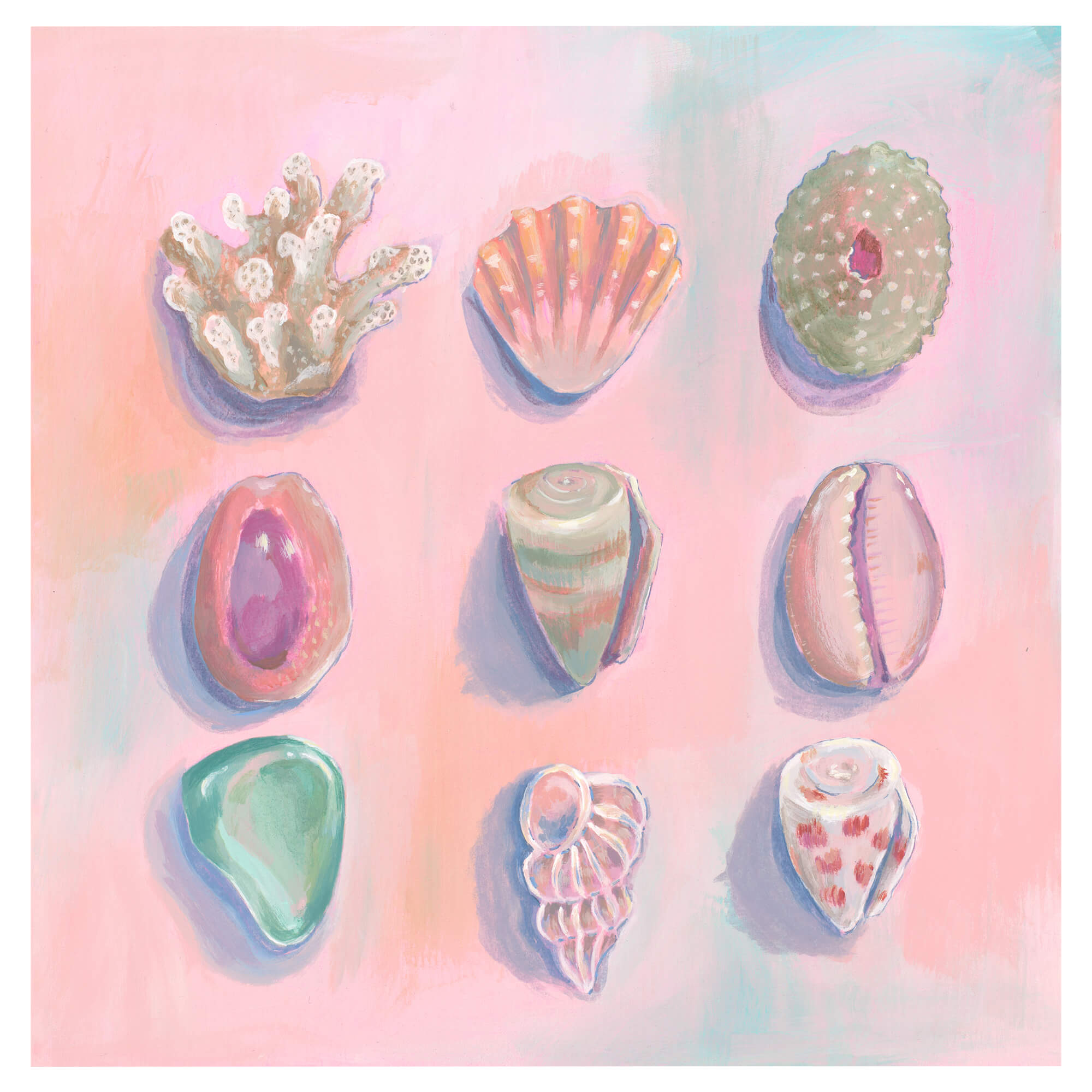 Stunning pink and teal-hued seashells by Hawaii artist Lindsay Wilkins