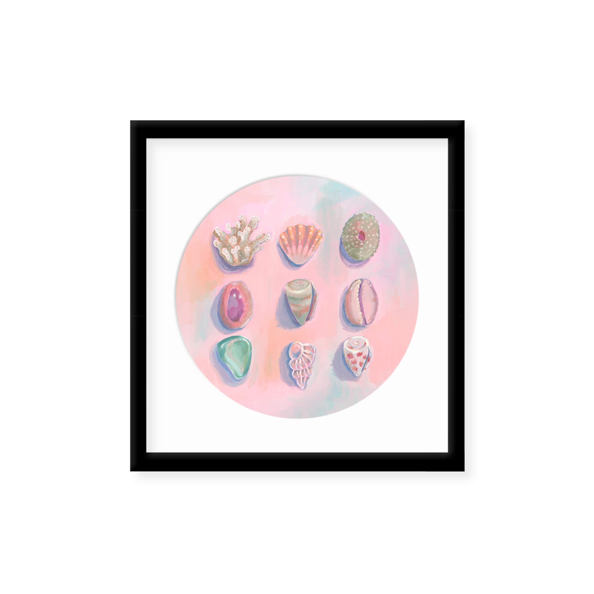 Different kinds of seashells with pastels hues by Hawaii artist Lindsay Wilkins