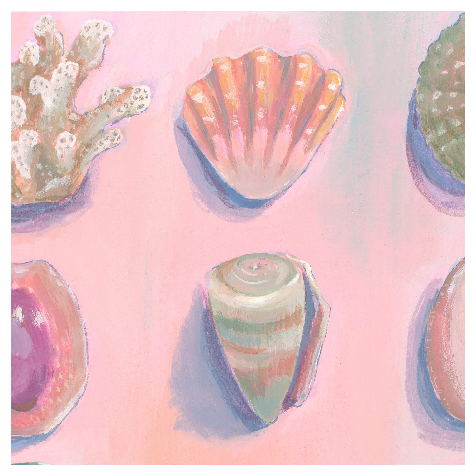 Seashells with hues of pastel pink by Hawaii artist Lindsay Wilkins