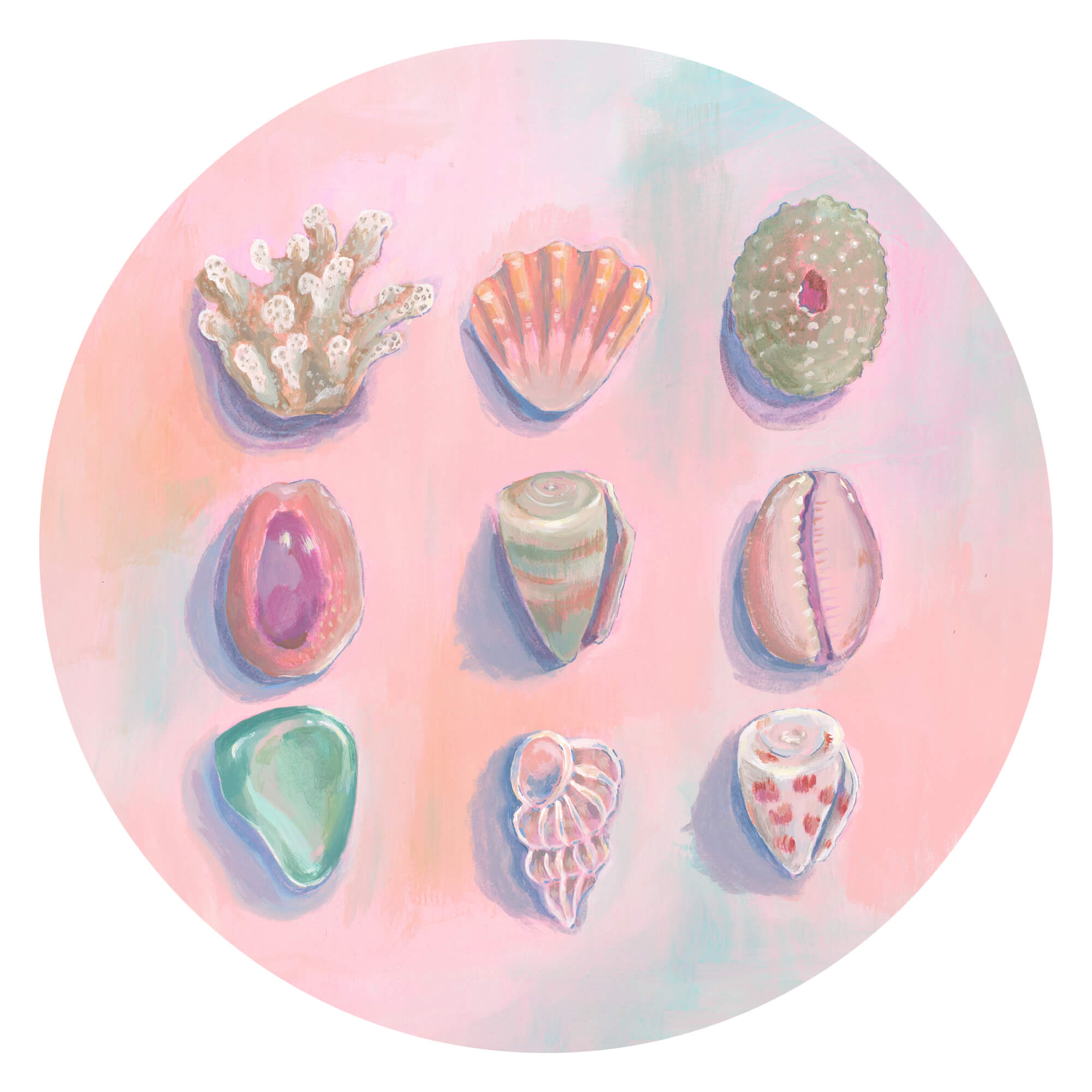 Different kinds of seashells and corals by Hawaii artist Lindsay Wilkins